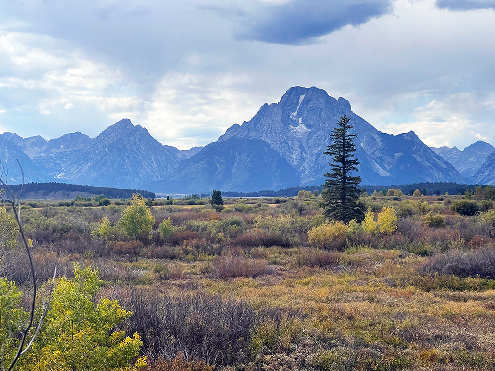 Mountain Scenery