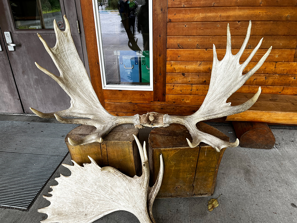 Antlers