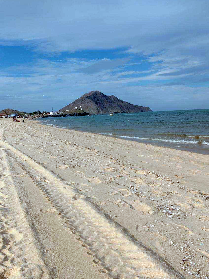 tire tracks on the beach