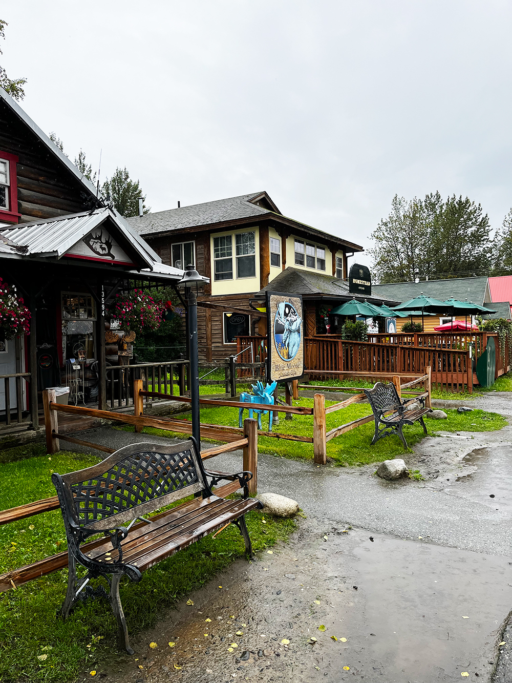 The Blue Moose