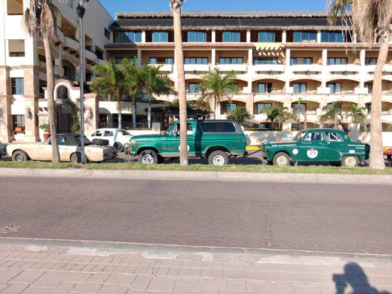 the Bronco Behind A Tree