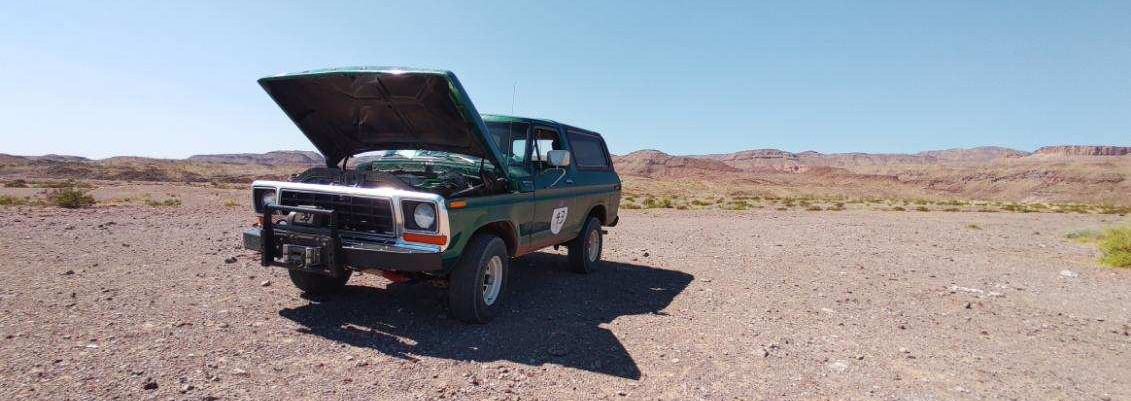 The Bronco on the Horizon