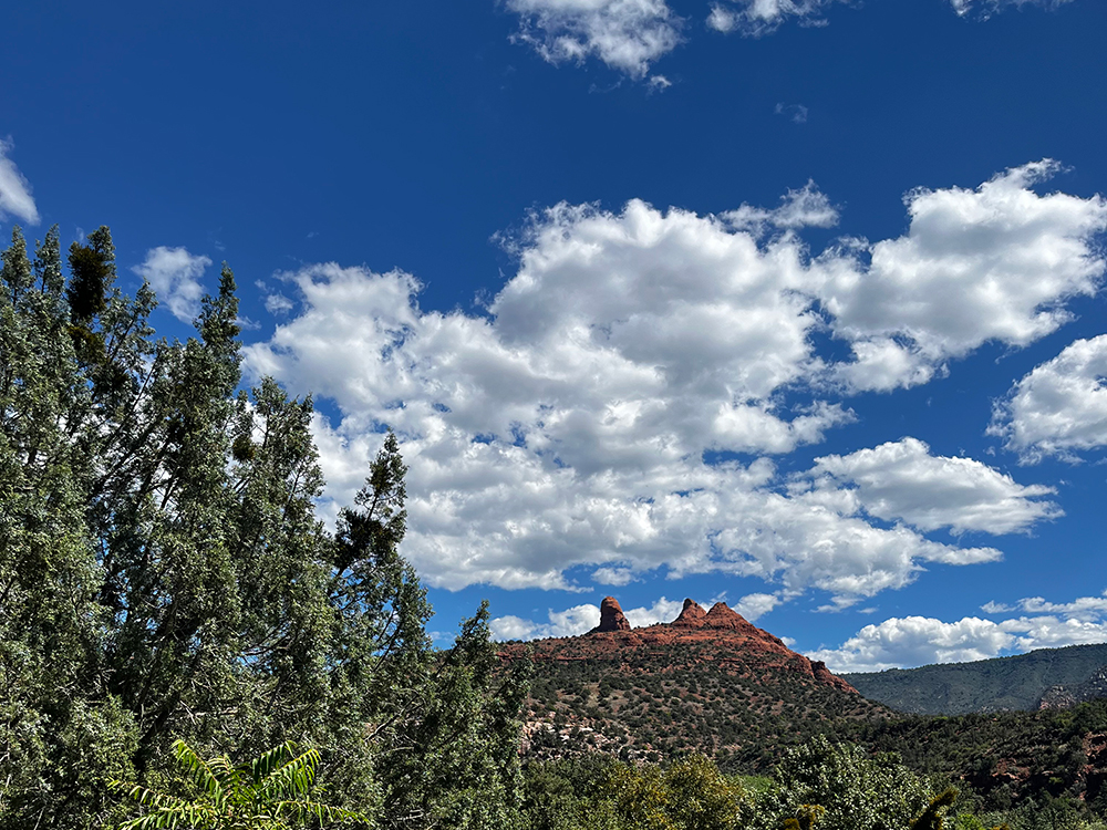 view from the deck