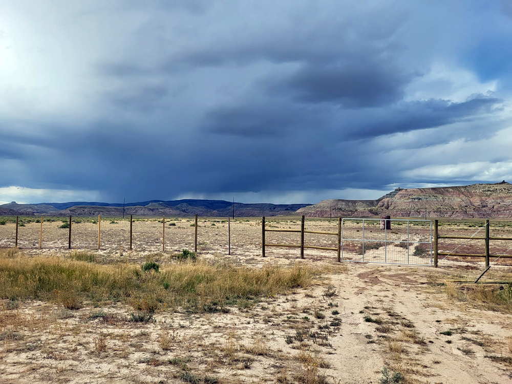 Cattle Fence