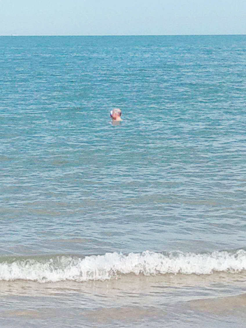 floating coconut