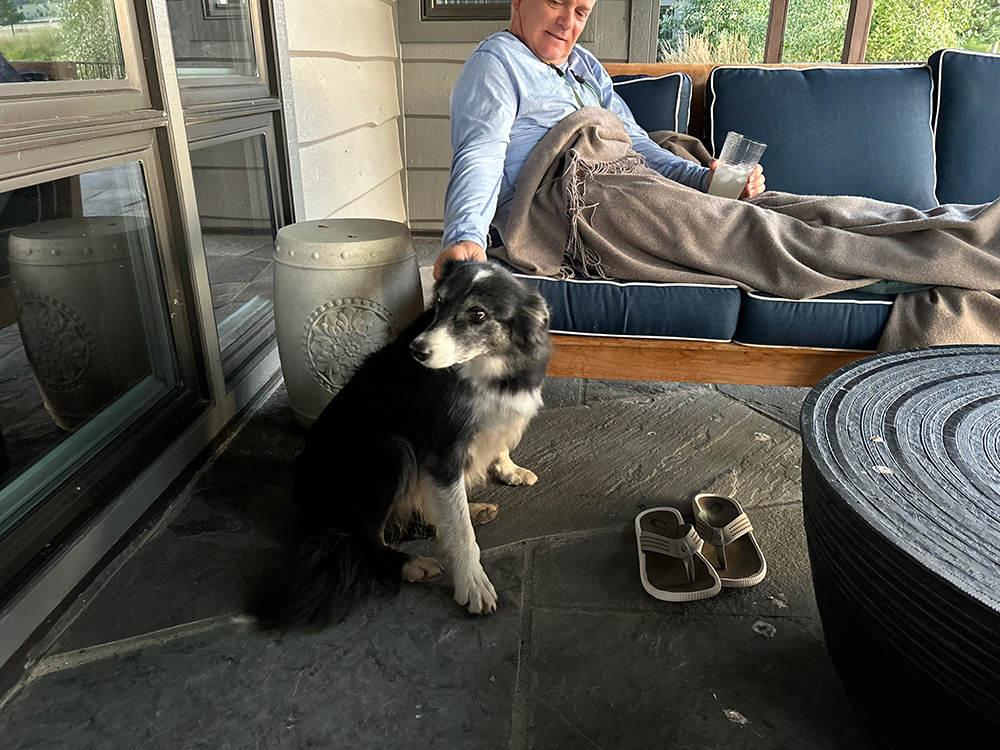 good dog