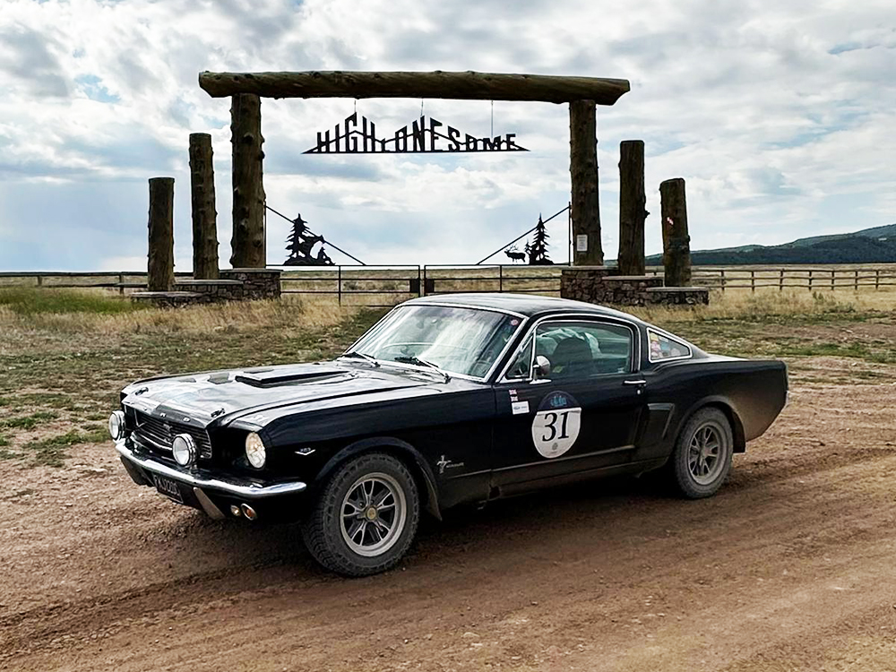 #31 Mustang