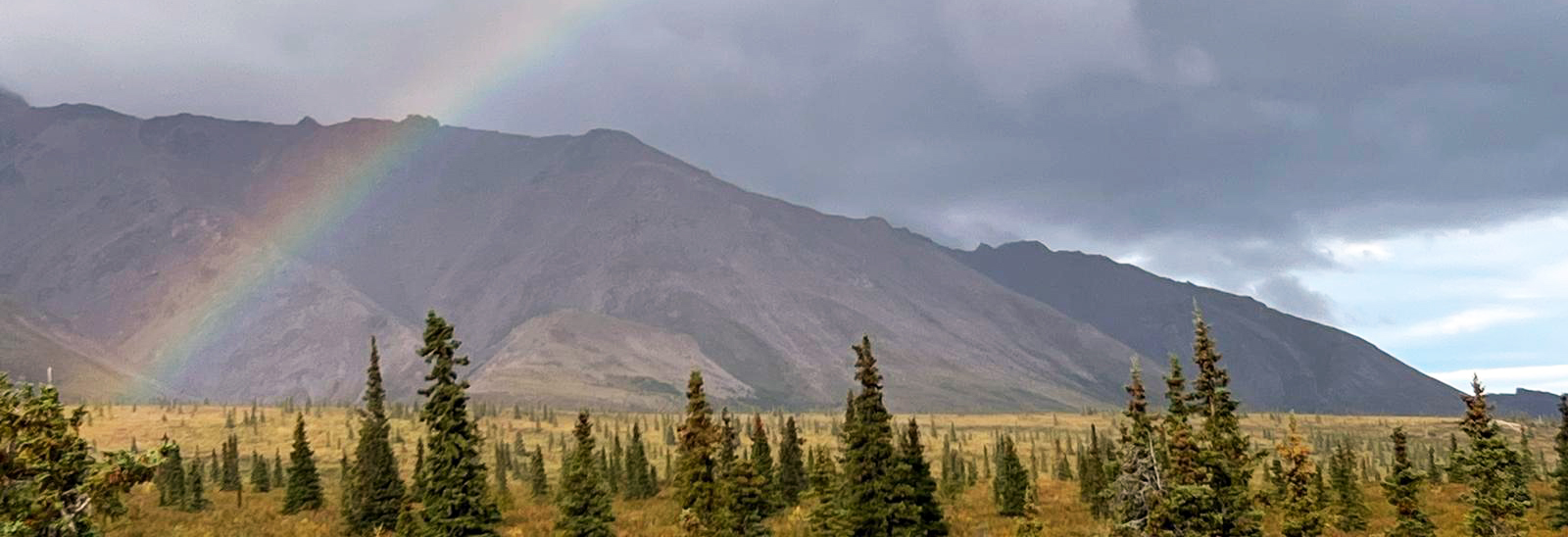 Rainbow