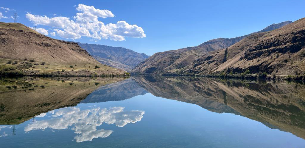 Reflection