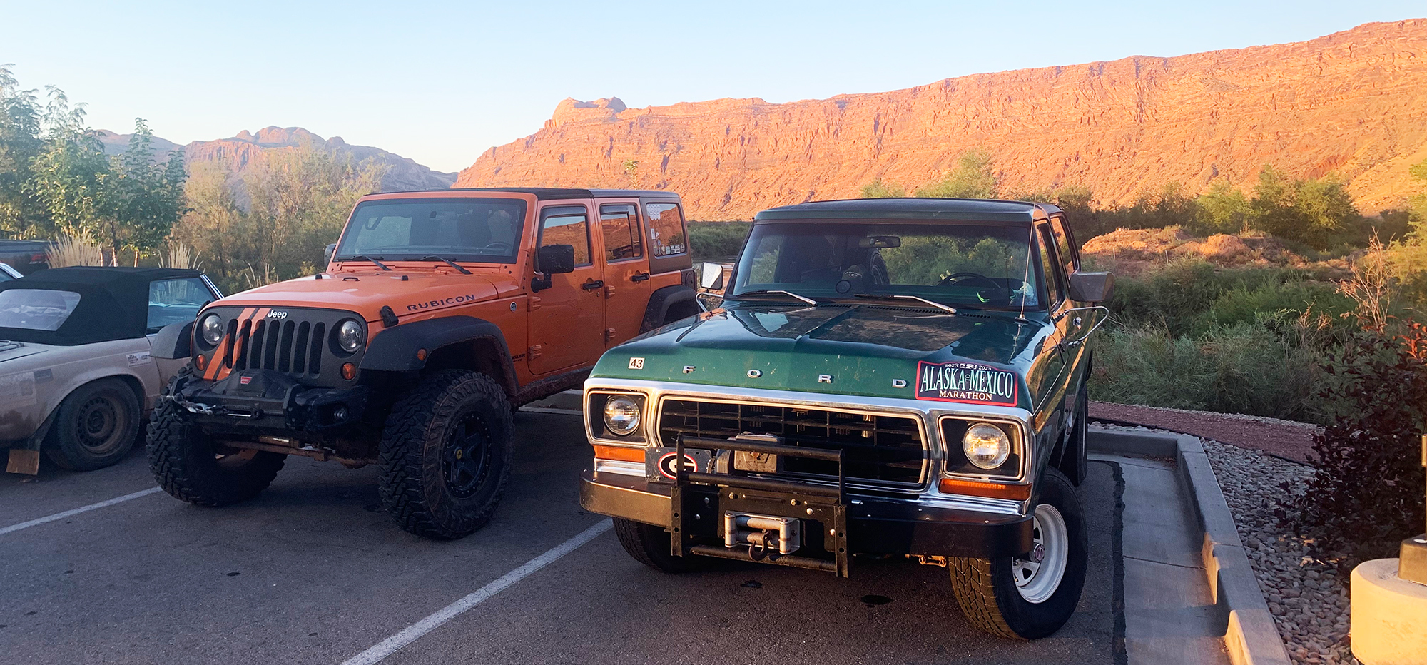 Resting Bronco