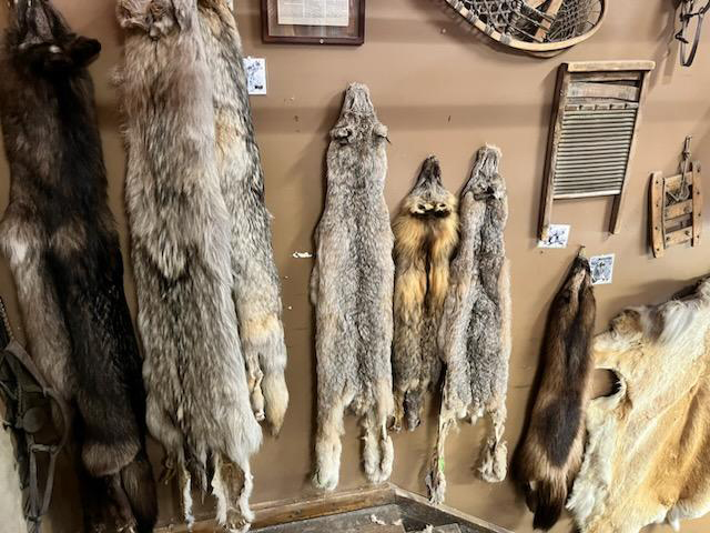 pelts