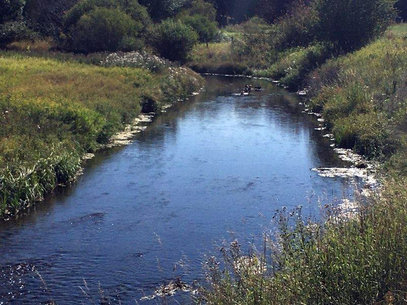 stream