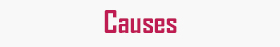 Causes