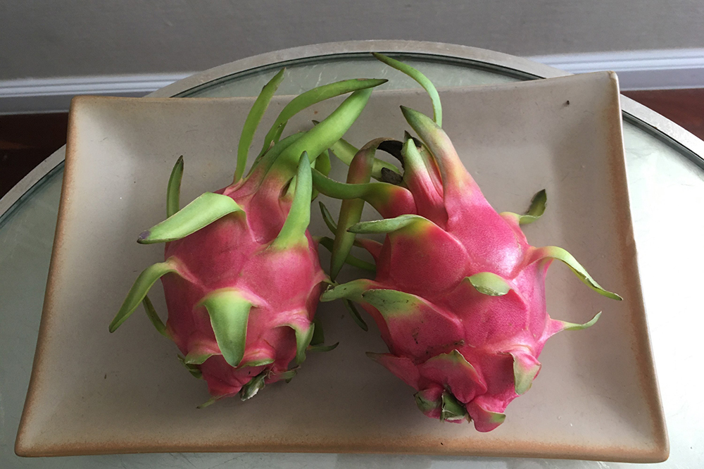 alien fruit