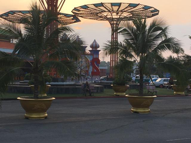 potted palms