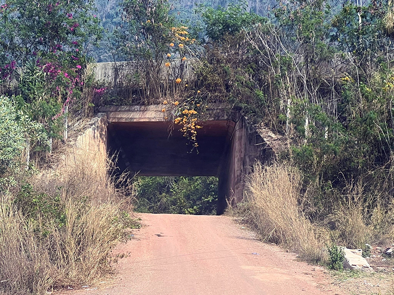tunnel