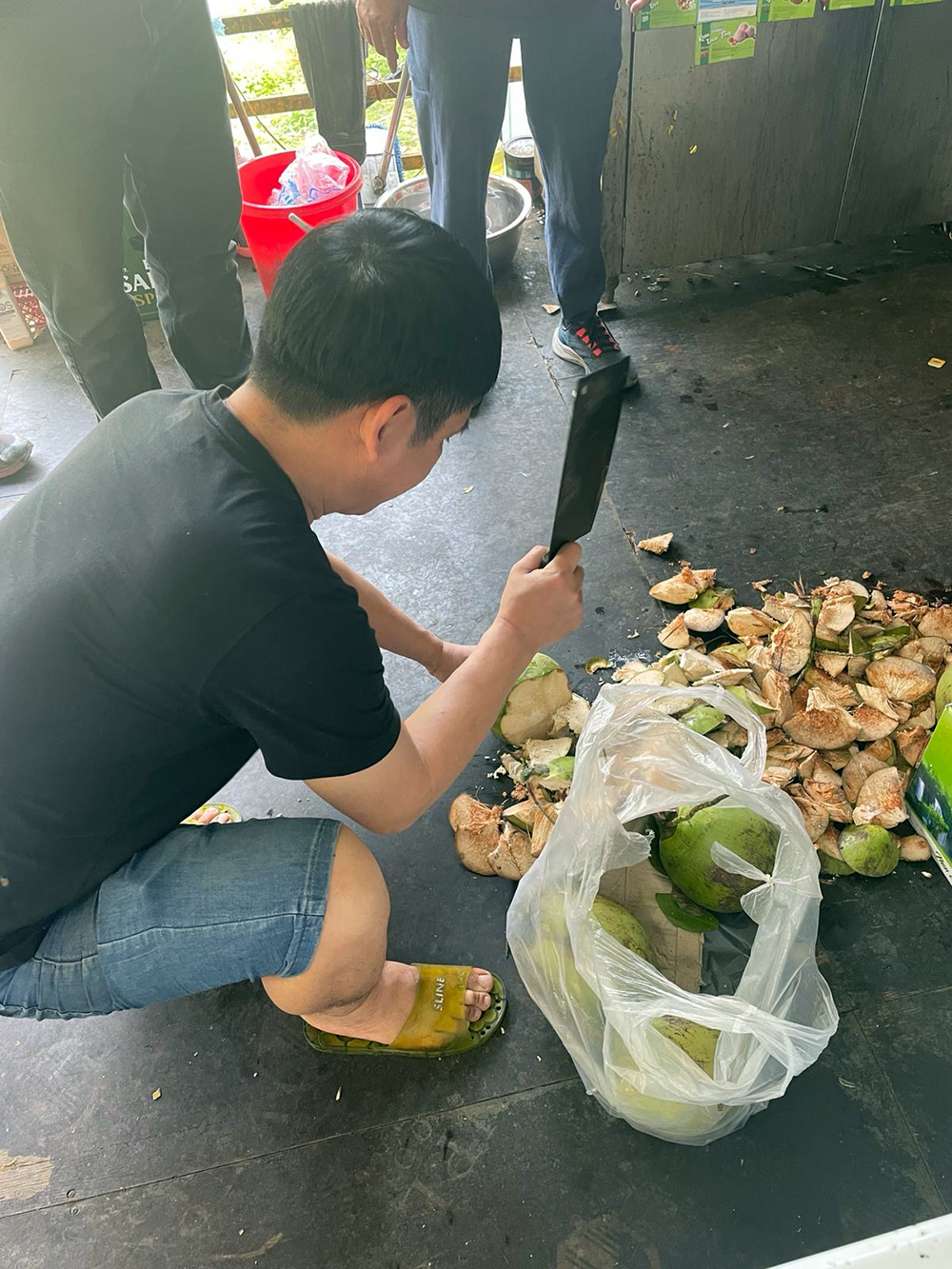 Coconut Vendor
