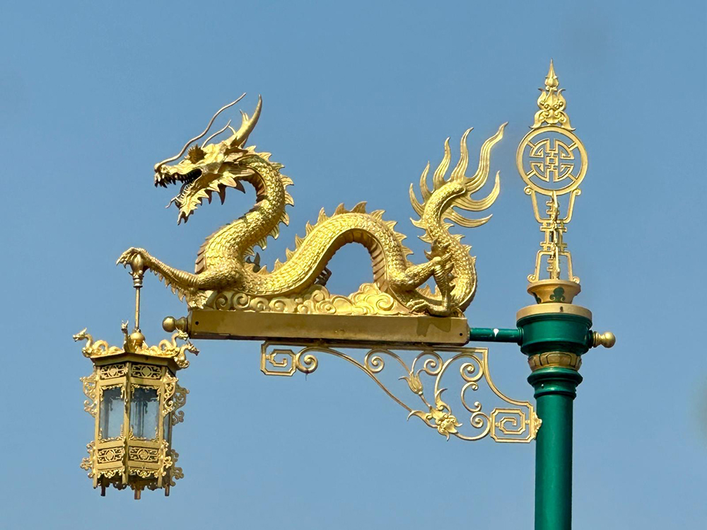 Dragon Light