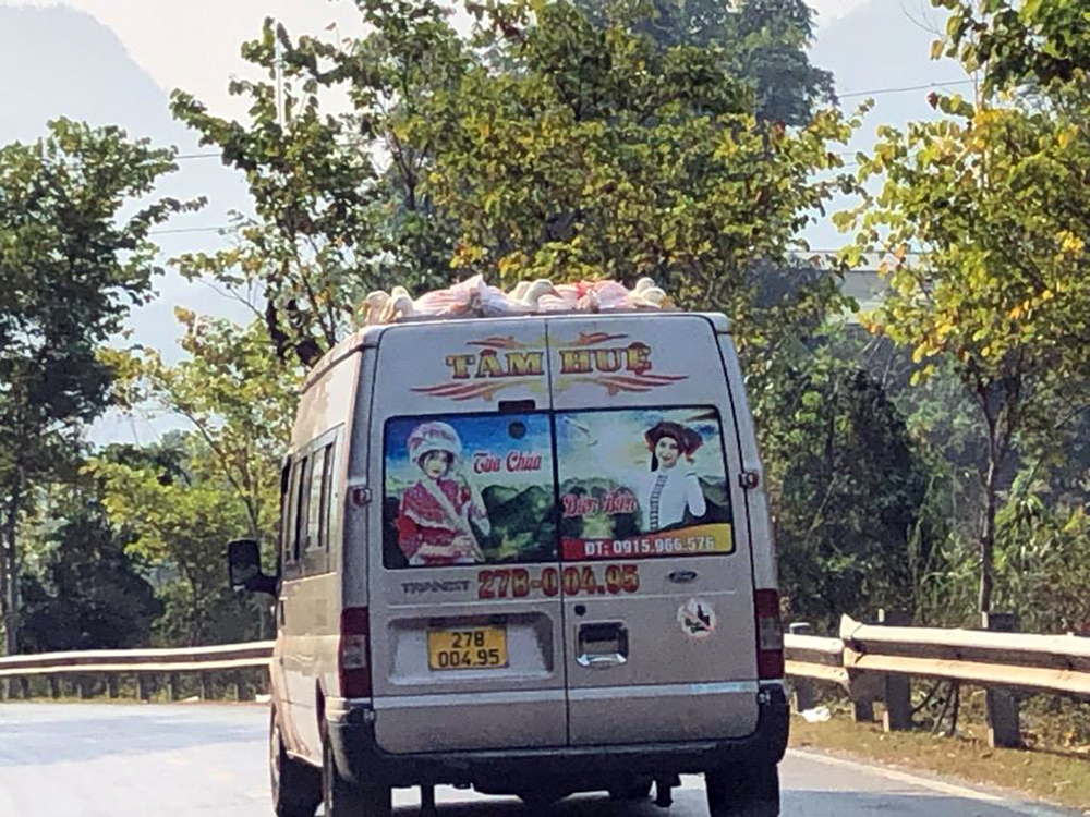 Duck Mobile
