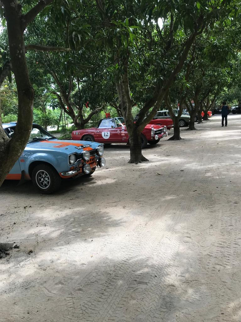 the Escort in the shade