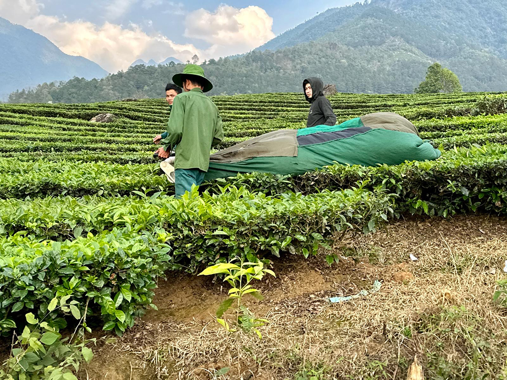 farming