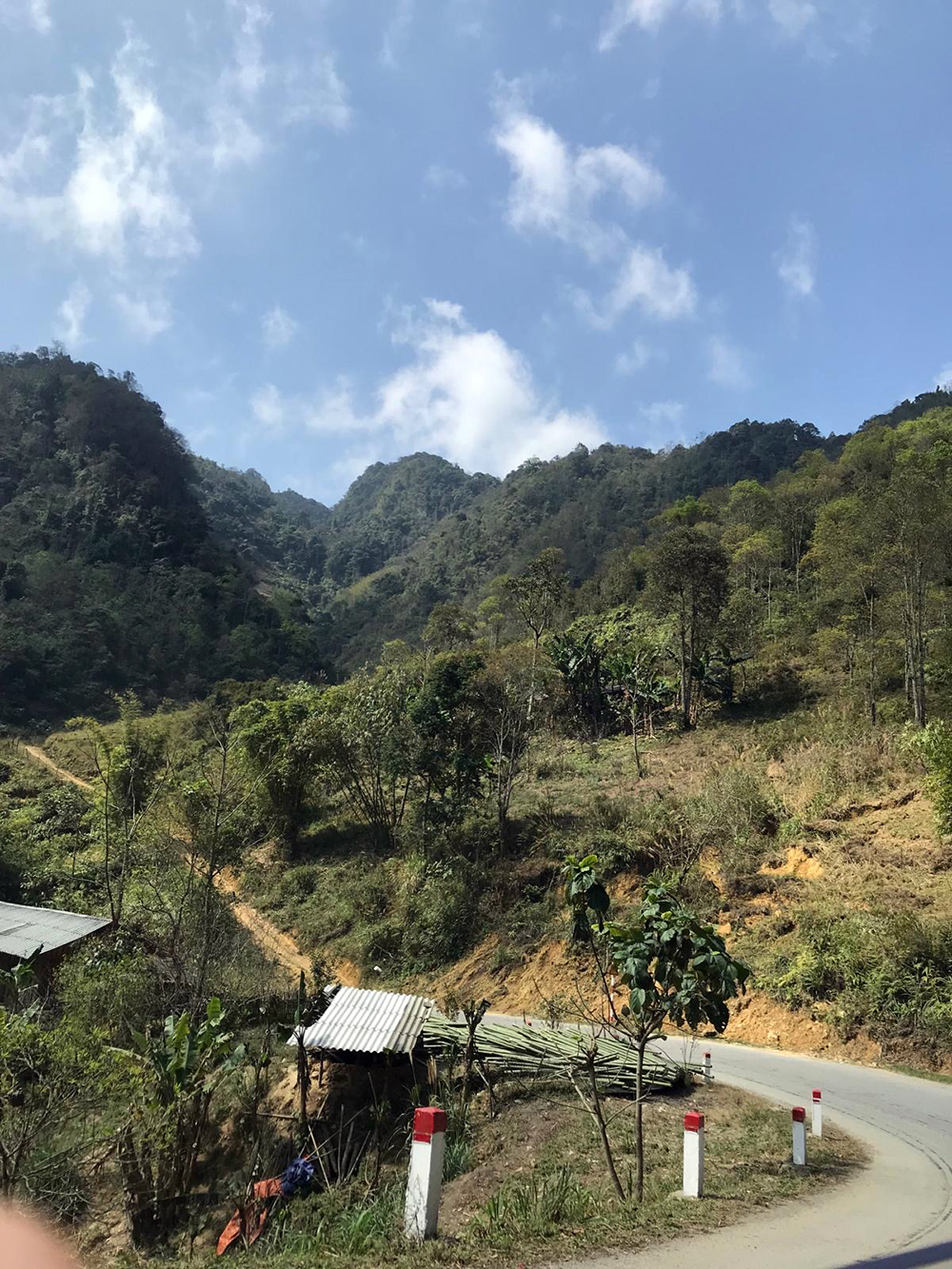 winding road