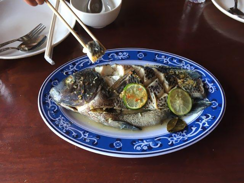 fish dish