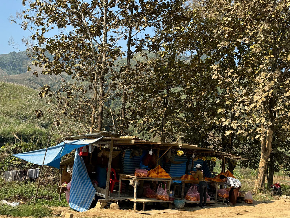 fruit shed