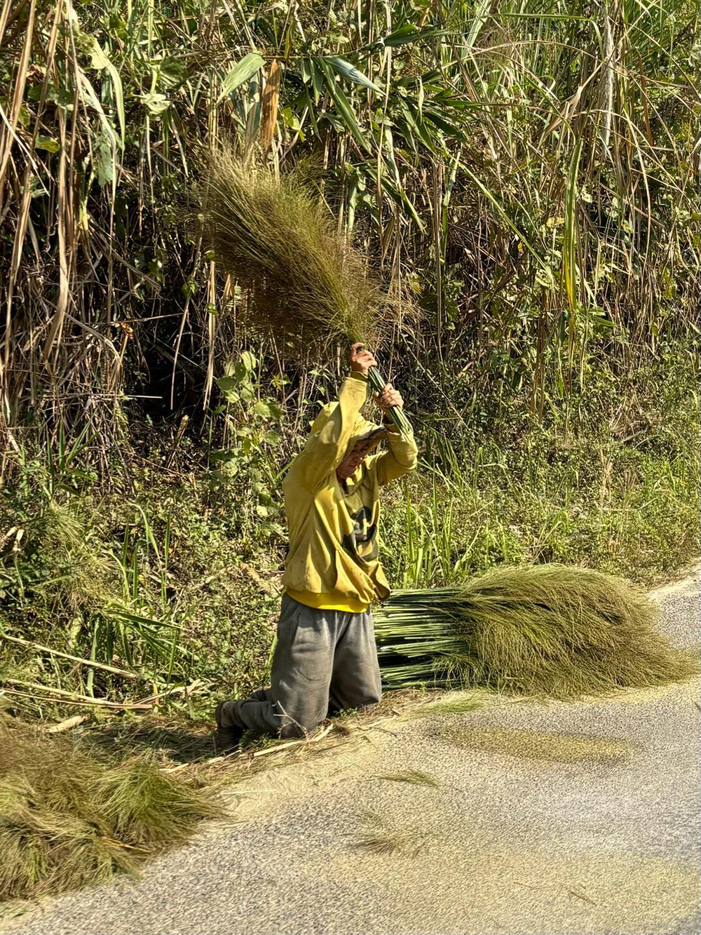 grass flagger