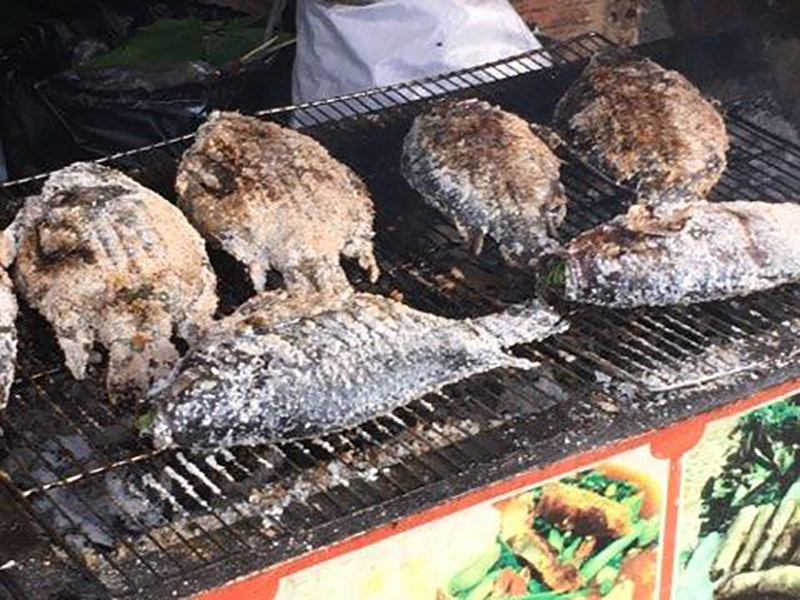 grilled fish