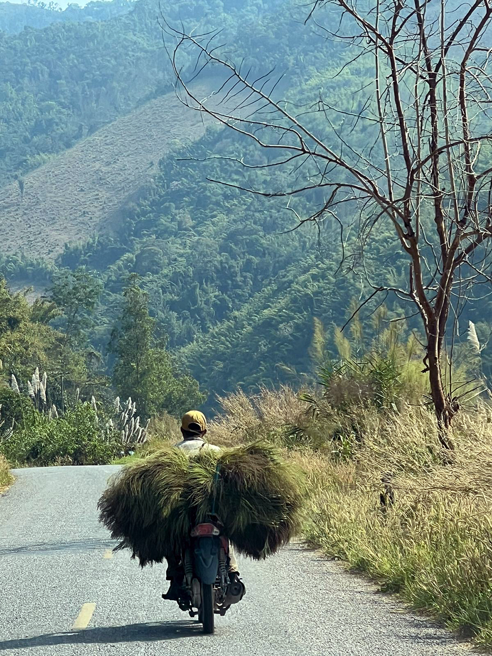 grass laboror