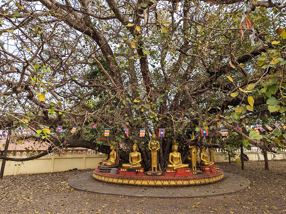idol tree