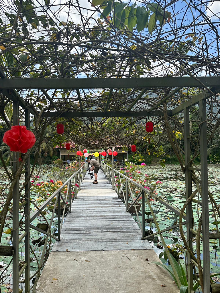 lili pad bridge