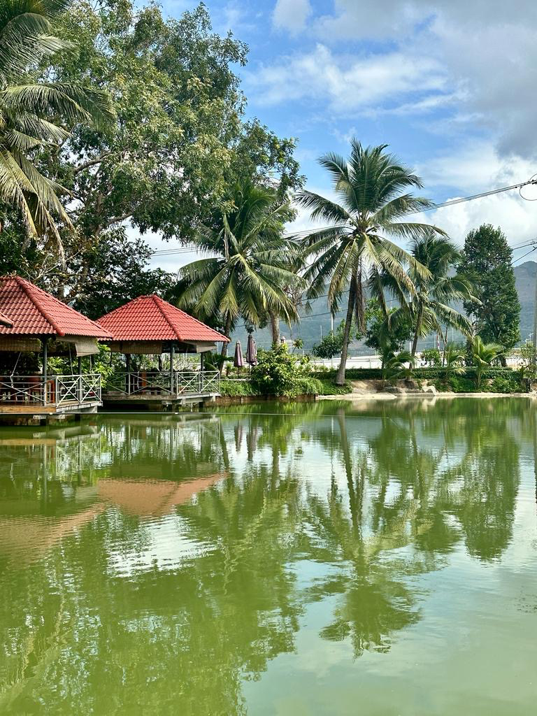 lunch huts