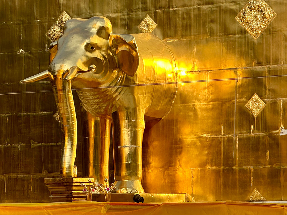 More Gold Elephant