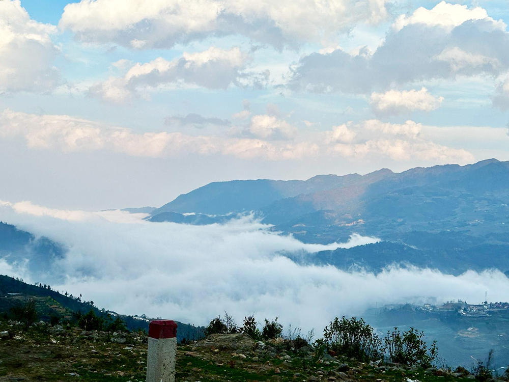 mountain mist