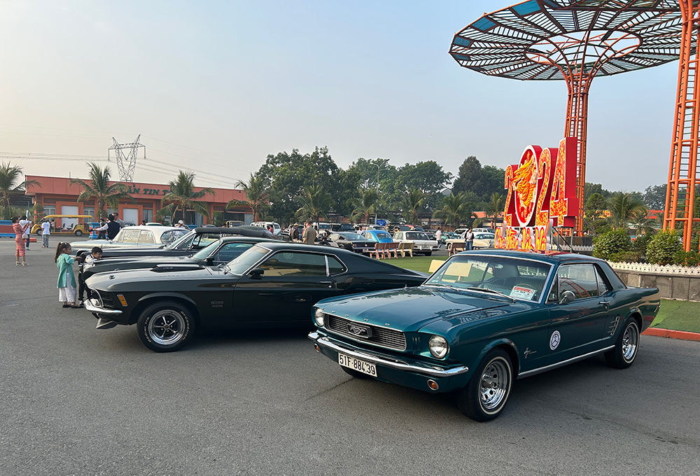 Muscle Cars