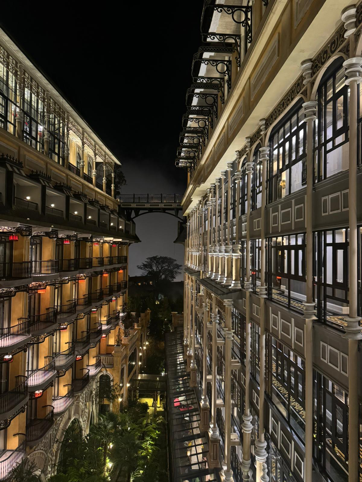 night life