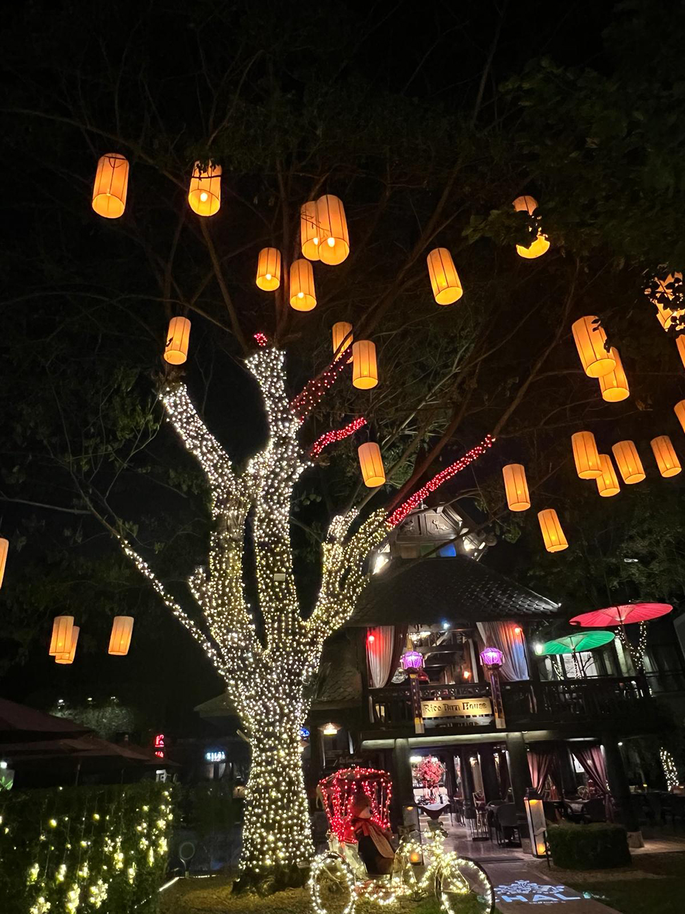 orange lanterns
