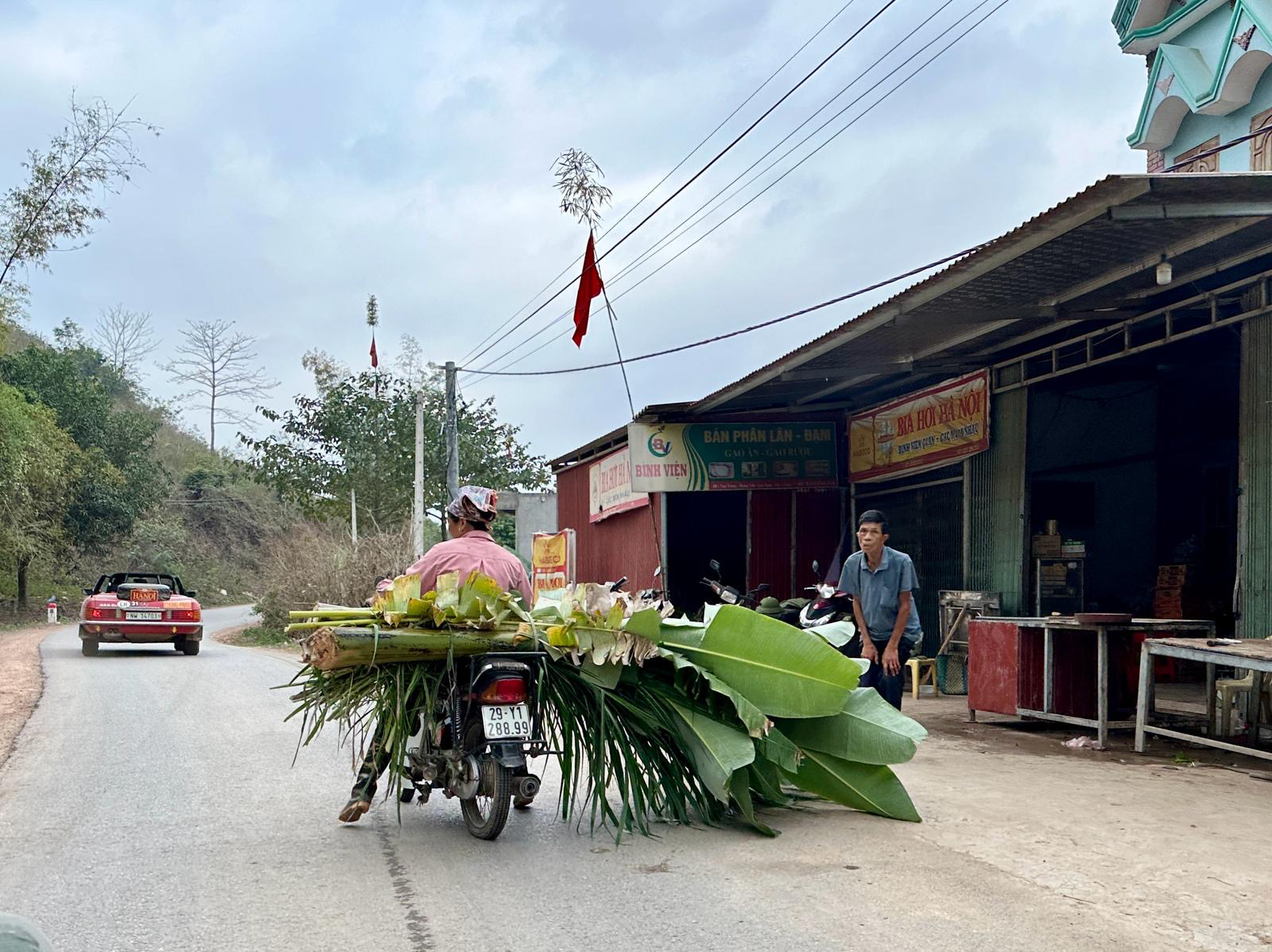 palm motorbike