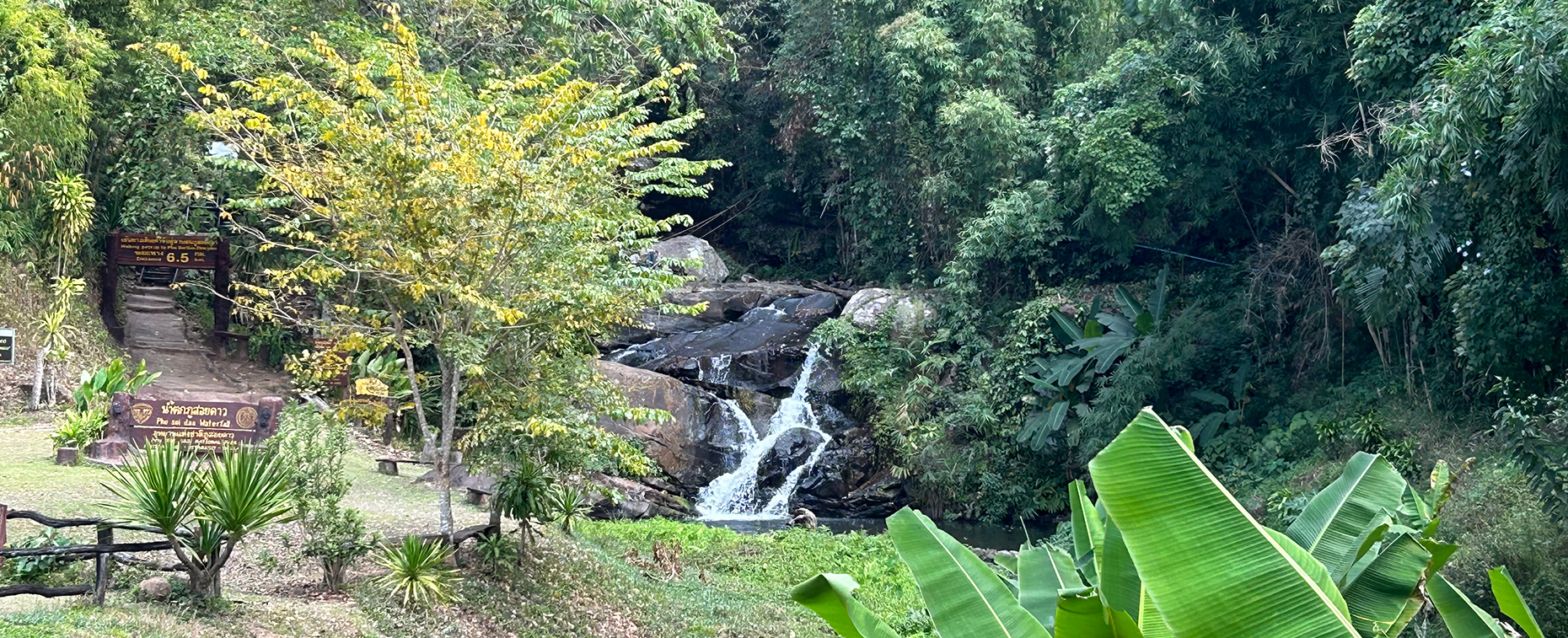 Park