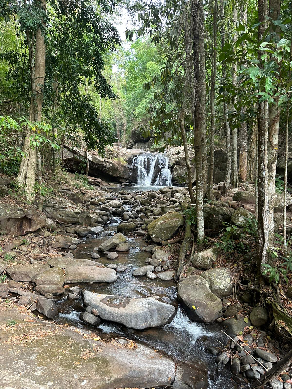 park waterfaall