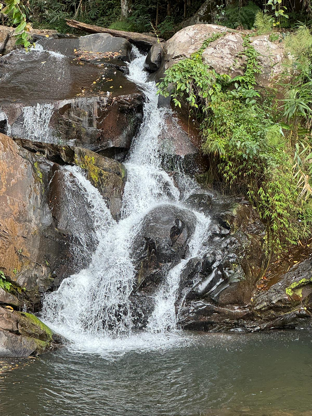 park waterfaall