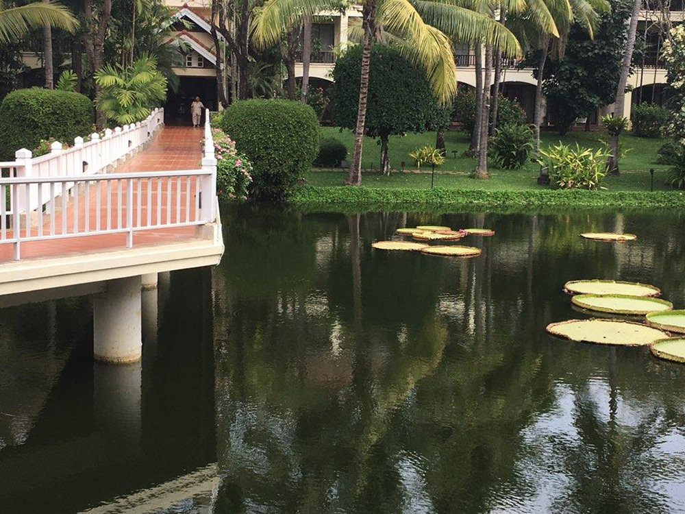 rest day resort grounds