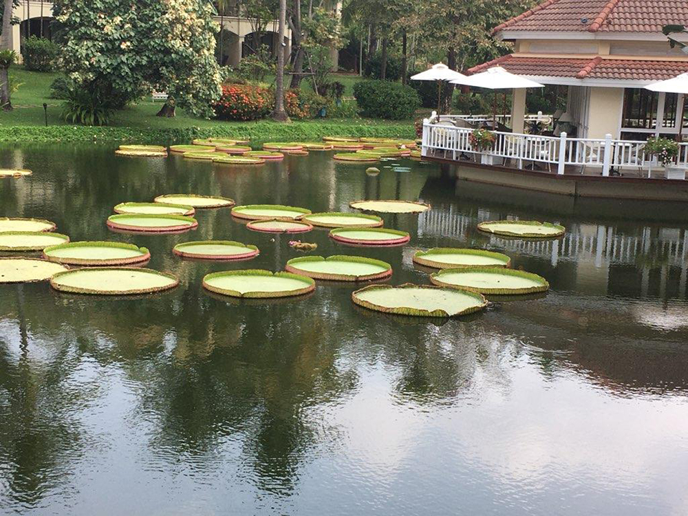 rest day resort grounds