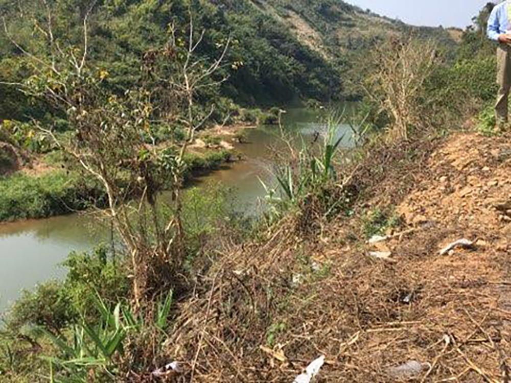 river bank