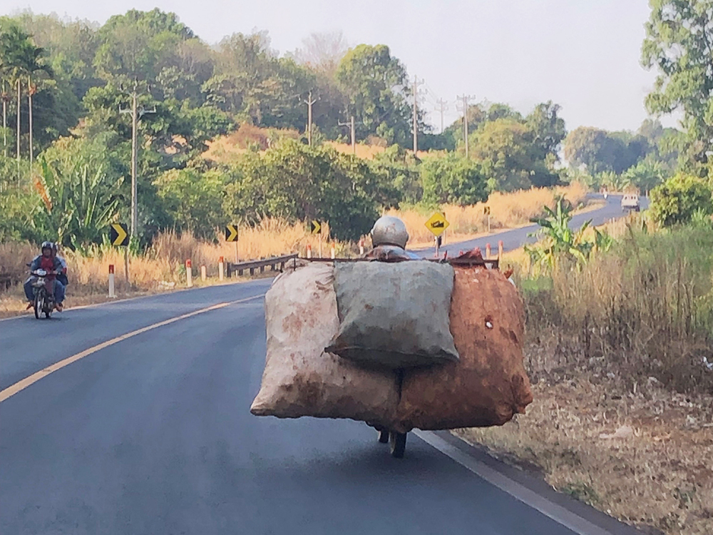 scooter sacks