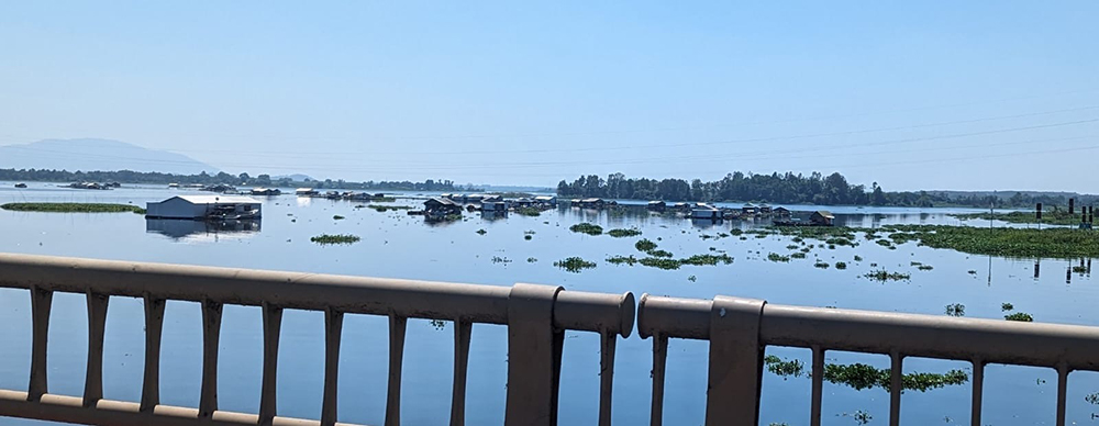 shrimp farm