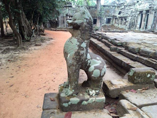 spotted cat