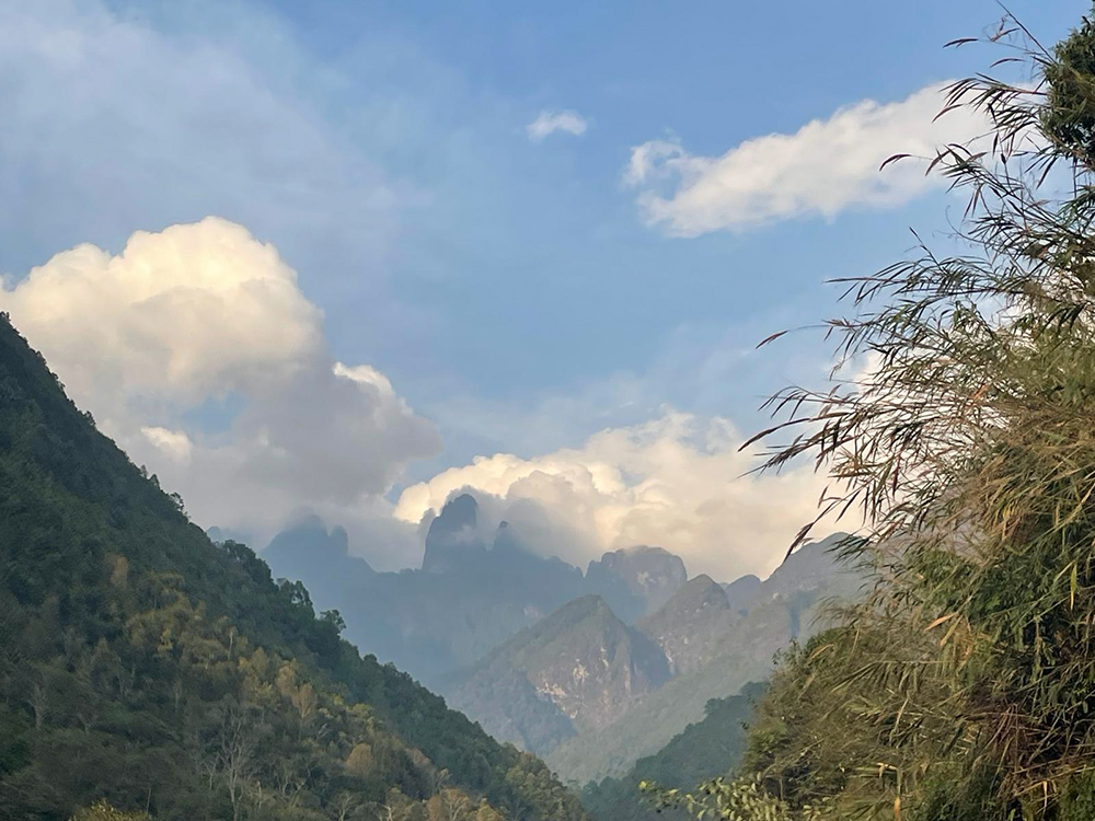 sunny valley
